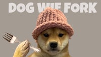 a dog wearing a knitted hat with a fork and fork